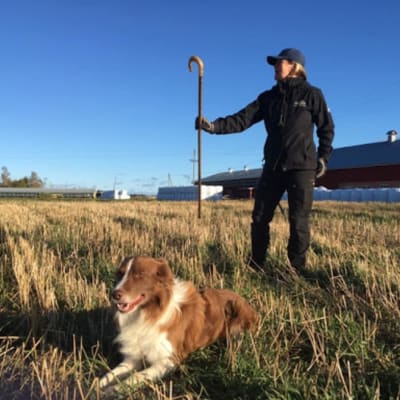 Michaela Wikberg med sin vallhund Sune.