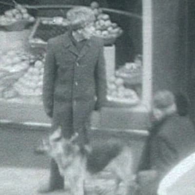 Koiravahdiksi pantu mies seisoo koiran kanssa liikkeen edessä ja katselee ympärilleen.