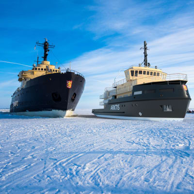 Kaksi jäänmurtajaa, Sampo ja Arktis, rinnakkain jäisellä merellä. Lähistöllä seisoo kaksi ihmistä jäällä.