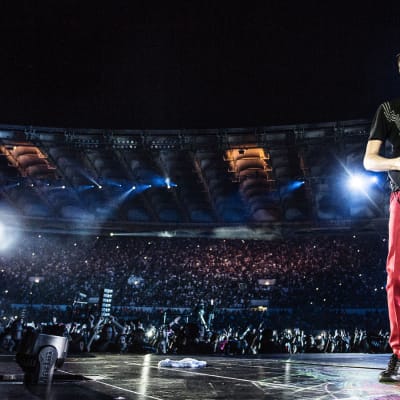 Musen Matthew Bellamy Roomassa