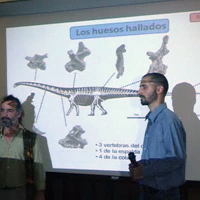 Ett dinosauriefynd har gjorts i Argentina