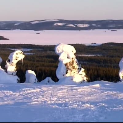 Vy från Riisitunturi nationalpark.