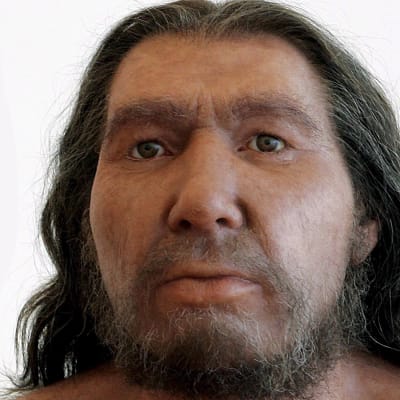 Two Neanderthal men with different distinctive growth of hair pictured in the Rheinisches Landesmuseum in Bonn, Germany, Tuesday, 13 June 2006.