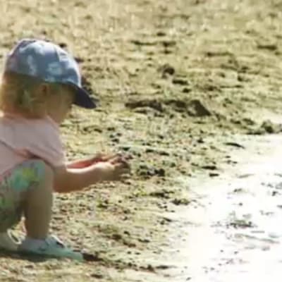 Barn som leker på stranden.