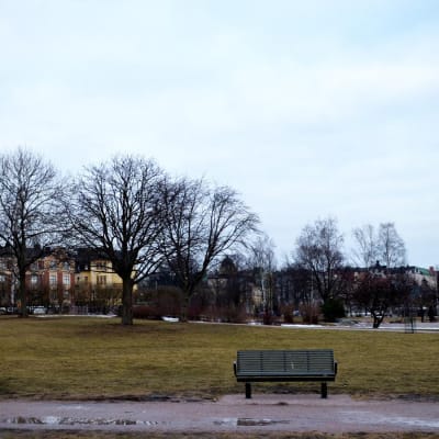 Eviga elden i Eirastranden i Helsingfors.