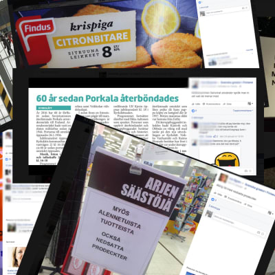 Ett kollage av inskickade bilder på språkgrodor.