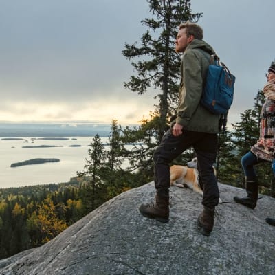 Yhdeksänosainen uusi sarja Metsien kätkemä vie katsojat suomalaiseen luontoon kokemaan kauniita, vaikuttavia ja mielikuvitusta kutkuttavia paikkoja.