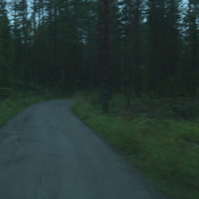Fårholmen i Jakobstad