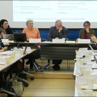 Justitieministeriets delegation för språkärenden kallade olika språkgrupper till Samråd