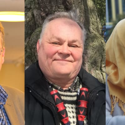 Harri Lindell (Terve Helsinki), Jarmo Nieminen (Gröna) och Zahra Abdulla (VF).
