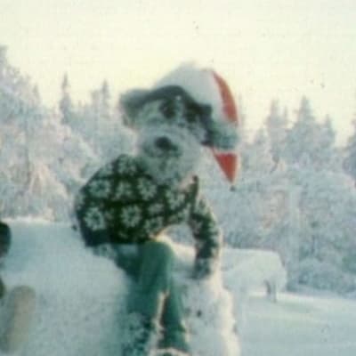 Karvakuonojen joulujakso 1978.