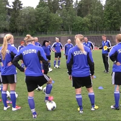 Finlands damlandslag i fotboll, 2013.