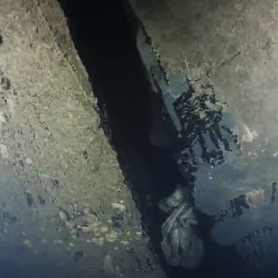 Hål i Estonias skrov på video som spelats in med hjälp av en undervattensrobot. 