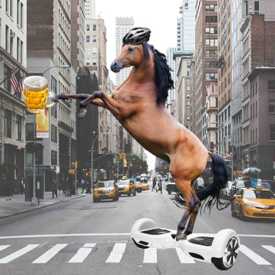 En häst med cykelhjälm som åker hoverboard i på en väg i New York med en öl i handen.