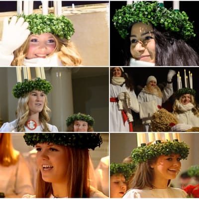 Collage med nio Finlands lucior från 2008 framåt.
