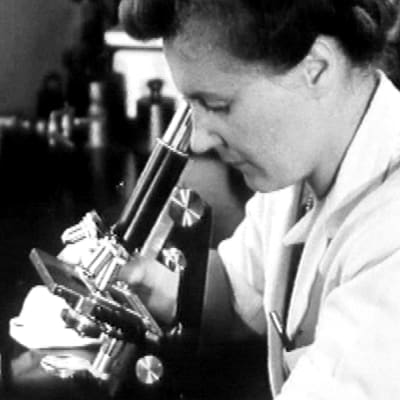 Laboratoriossa tutkitaan mikroskoopilla (1948).