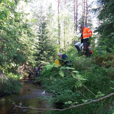 Några personer står vid en bäck. 