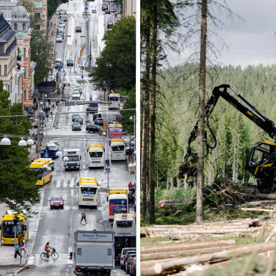 Kollage med tre bilder: till vänster vindkraftsverk, i mitten en livlig gata i centrum och till höger en bild på skogsbruk.