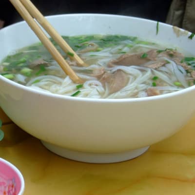 Pho bo, vietnamesisk nudelsoppa med nötkött