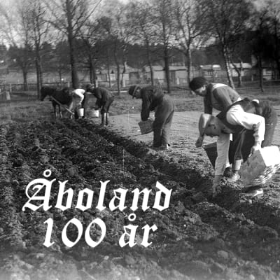 Personer står nerböjda över potatisodling i Kuppisparken i Åbo år 1938.