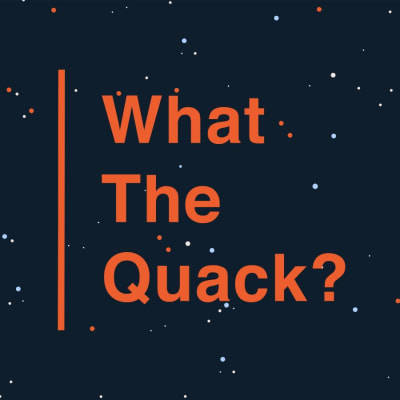 En mörk bakgrund med texten "What the Quack". På bilden finns också en ritad badanka med simglasögon och ett frågetecken ovanför huvudet. 