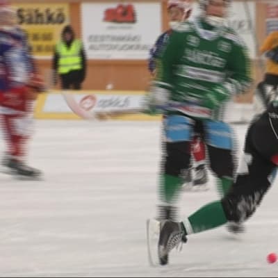 sport, bandy
