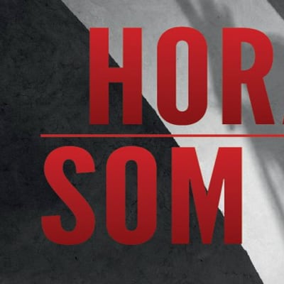 Calle Hårds spänningsroman "Horan som log"