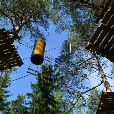Vaskiluodon metsän puihin on viritetty viisi erilaista kiipeilyrataa.