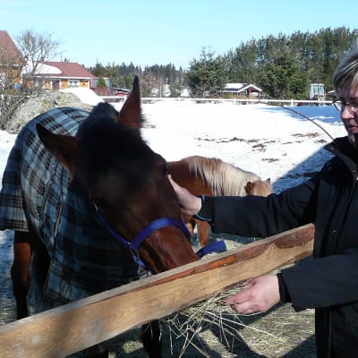 Kirsi Ilola syöttää hevosta Ilolan maatilalla