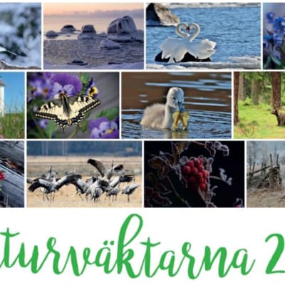 Pärmbilden på Naturväktarnas kalender 2018 med kollage av naturbilder