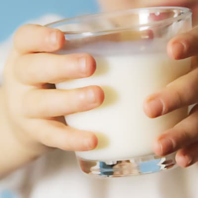 kupillinen jogurttia lapsen käsissä ja grafiikka jossa väite maidon terveellisyydestä