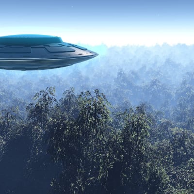 Ufo över en skog.