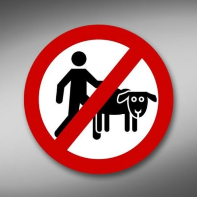 Förbud mot sex mellan människa och djur.
