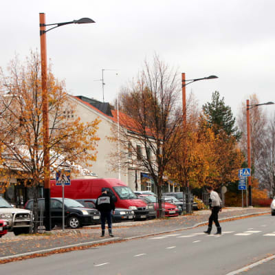 Tohmajärven kylänraitti.