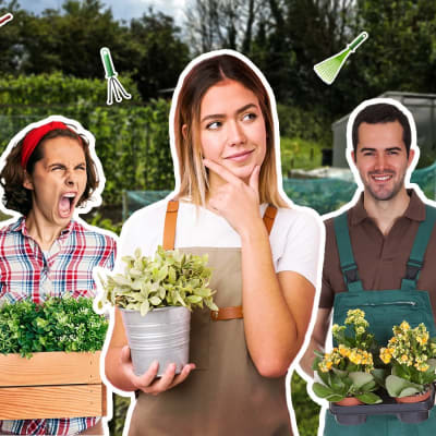 Kuvituskuva testiin "Millainen puutarhanhoitaja olet?"