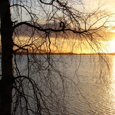 Aurinko nousee Rahkeenvedellä Joensuun Uimaharjussa.