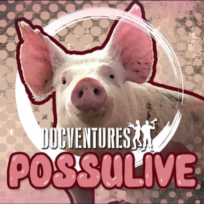 Docventuresin Possulive-lähetyksen kansikuva. Kuvassa lukee Docventures Possulive ja vaaleanpunaisella taustalla vaaleanpunainen porsas. 