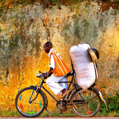 Ruandalainen nuori mies ajaa polkupyörällä auringonvalon valaiseman kallioseinämän edustalla ja kuljettaa pyörän tarakalla täysinäistä säkkiä. 