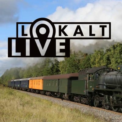 Ett ånglokståg i sommarlandskap.