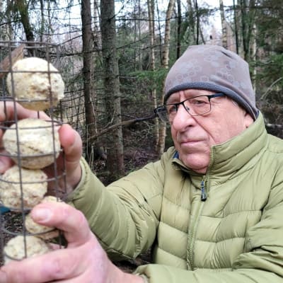 Vaasalainen Pekka Mäkynen lisää talipalloja lintujen ruokinta-automaattiin Risön metsäruokintapaikalla Vaasassa.
