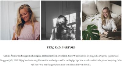 En bild av en bloggsida, några foton och text.