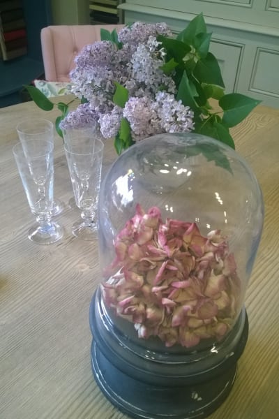 En glasklocka med torkade hortensior i rosa.