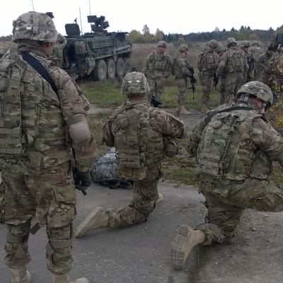 Nato har skickat amerikanska trupper till Estland.