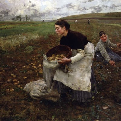Jules Bastien-Lepage, Saison d'Octobre: Recolte des pommes de terre, 1879. (National Gallery of Victoria)
