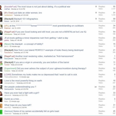 Skärmavbildning från internetforum