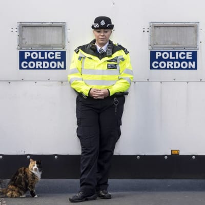 Poliisi seisoo seinän vieressä, kissa istuu maassa. 