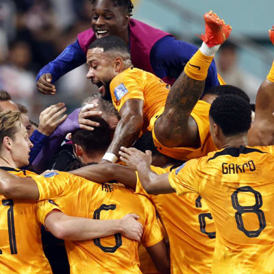 Holland firar seger i VM.