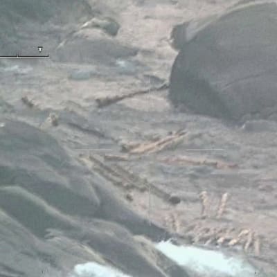 Sjöbevakningens flygfoto av stockar på stränder och i havet.