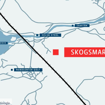 En karta som visar var skogsmark ligger i Raseborg.