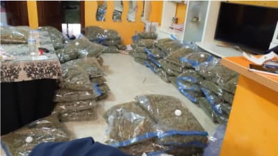 Marijuana i stora plastpåsar på ett golv.
